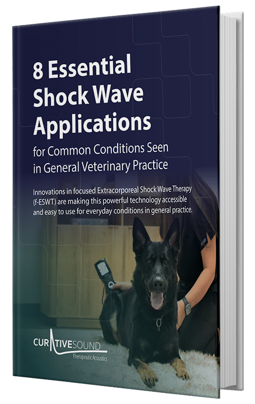 8 Everyday Applications for Shock Wave in General Veterinary Practice 1 2ab4fe859b83020d94efa7bda55a9e75