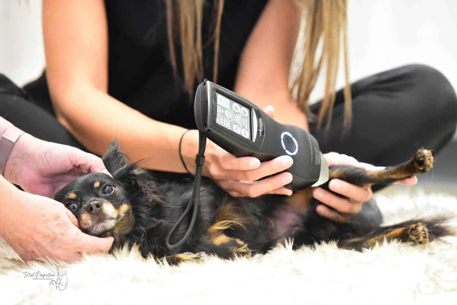 Picture of device in hand