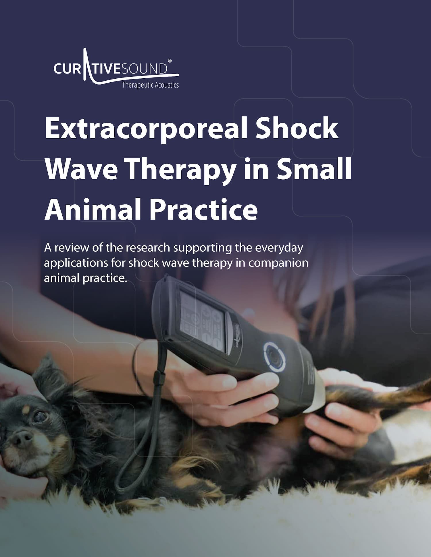 Extracorporeal Shock Wave Therapy in Small Animal Practice 1 Extracorporeal Shock Wave Therapy in Small Animal Practice photo